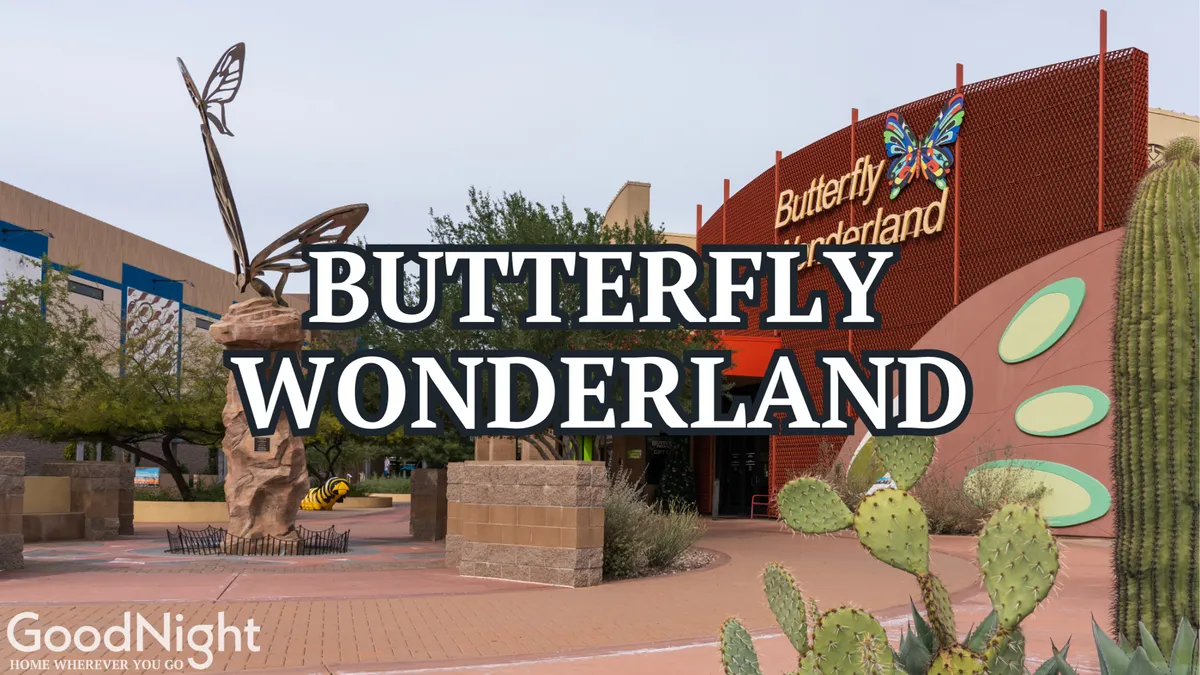 A playful and educational exterior view featuring the large butterfly sculpture and Butterfly Wonderland sign surrounded by cacti and landscaped pathways. Families and children are seen observing butterflies and enjoying interactive learning experiences, conveying a sense of discovery and fun.