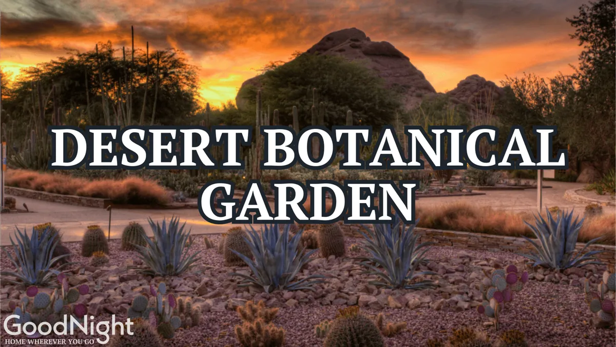 A picturesque desert landscape with cacti, various desert plants, natural rock formations, and a glowing sunset sky. This setting celebrates Arizona's unique outdoor beauty, blending relaxation with the region's unmistakable character and tranquility.
