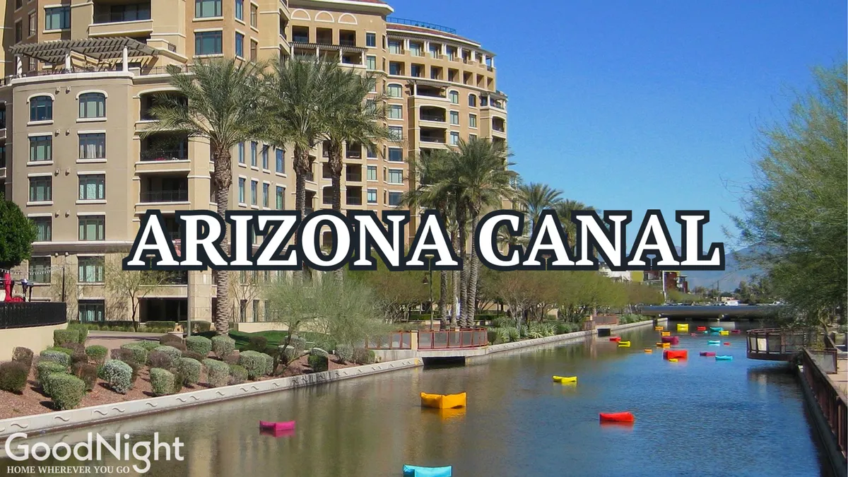 A vibrant canal scene featuring colorful paddle boats, palm trees, and modern buildings along the water's edge. The setting is lively yet relaxing, inviting group activities like boating, picnicking, and socializing along the waterfront against a backdrop of Arizona sunshine.