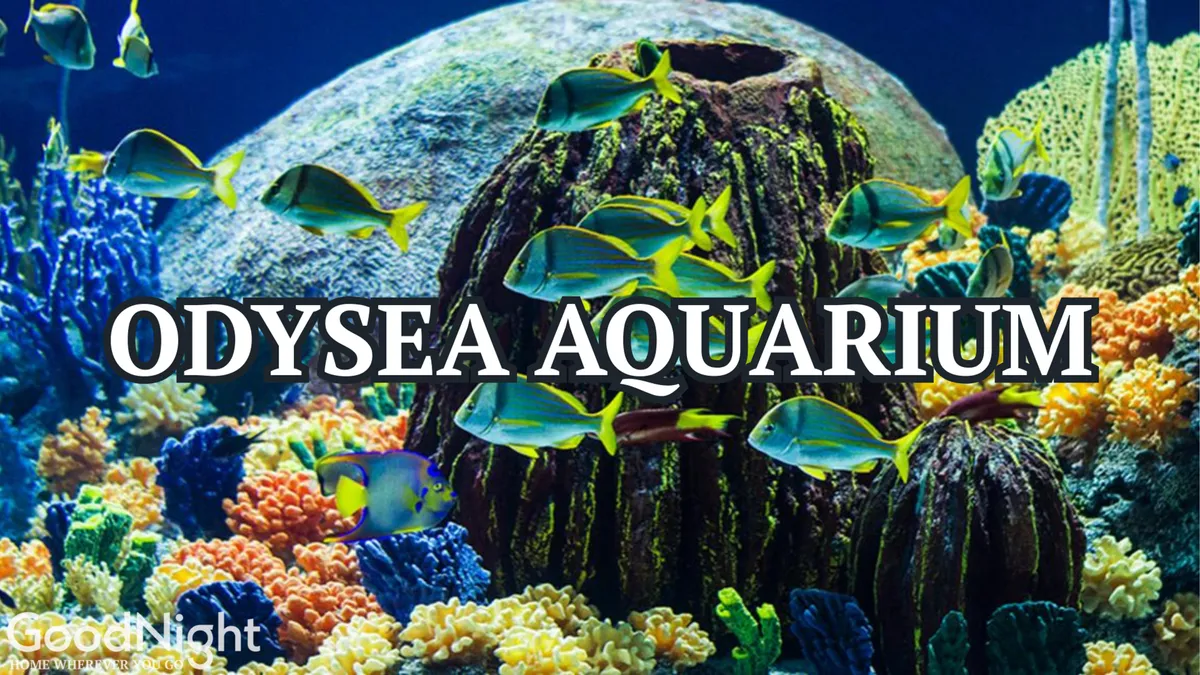An exterior scene showcasing colorful coral formations and swimming fish in an aquarium setting. The environment is lively and engaging, with families and children closely observing marine life and participating in educational tours and themed programs.